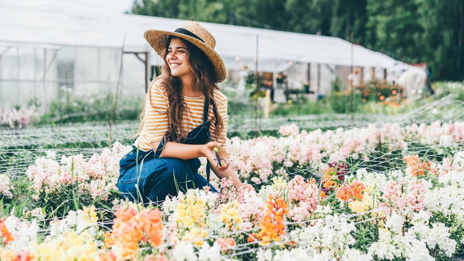 tending to flowers