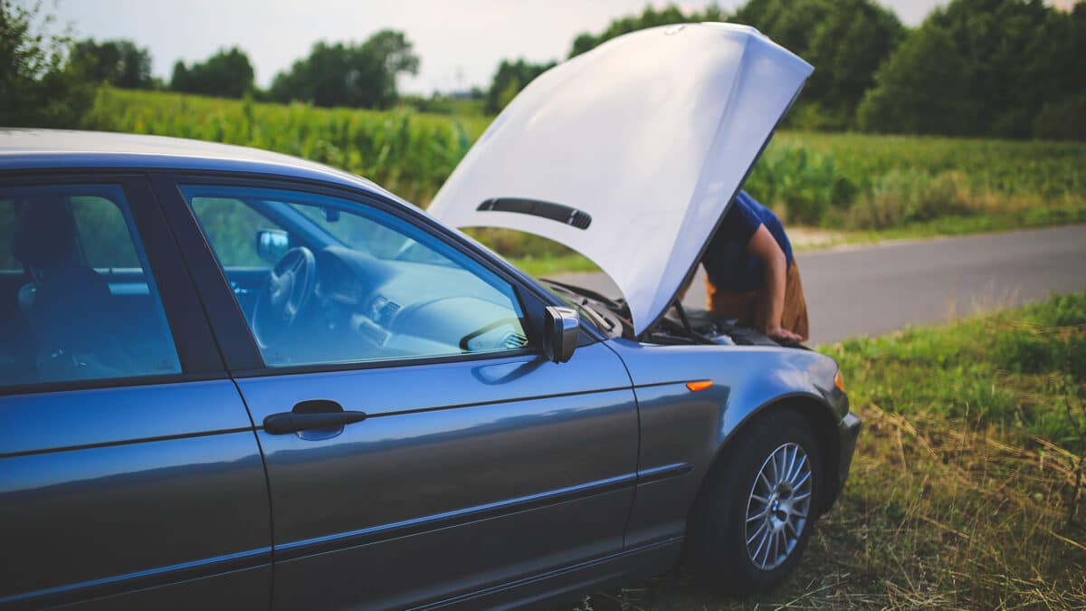 person looking under the hood